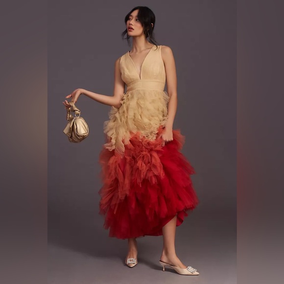 Anthropologie Dresses & Skirts - Geisha Designs Ombré Rose Tulle Dress Anthropologie